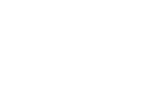 microphone icon