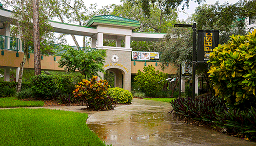 Rainy scenery at the PHSC West Campus