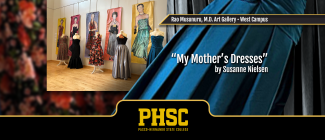 Photo of dresses in gallery with text: Rao Musunuru, M.D. Art Gallery, "My Mother's Dresses" by Susanne Nielsen
